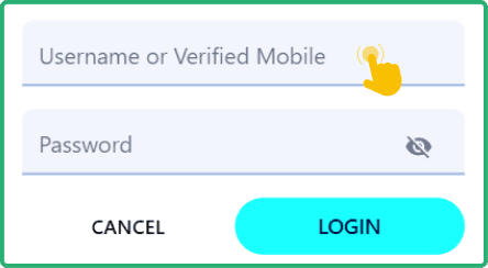 Enter your credentials